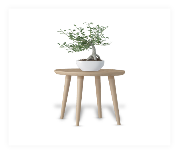 Table With Plant on top